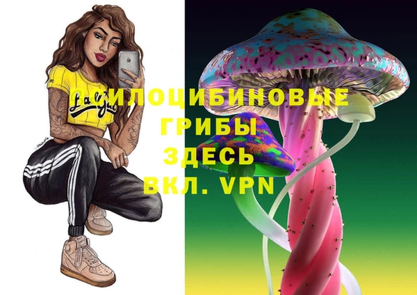 ешки Алексеевка