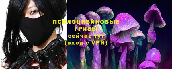 ешки Алексеевка