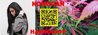 шишки Краснокаменск