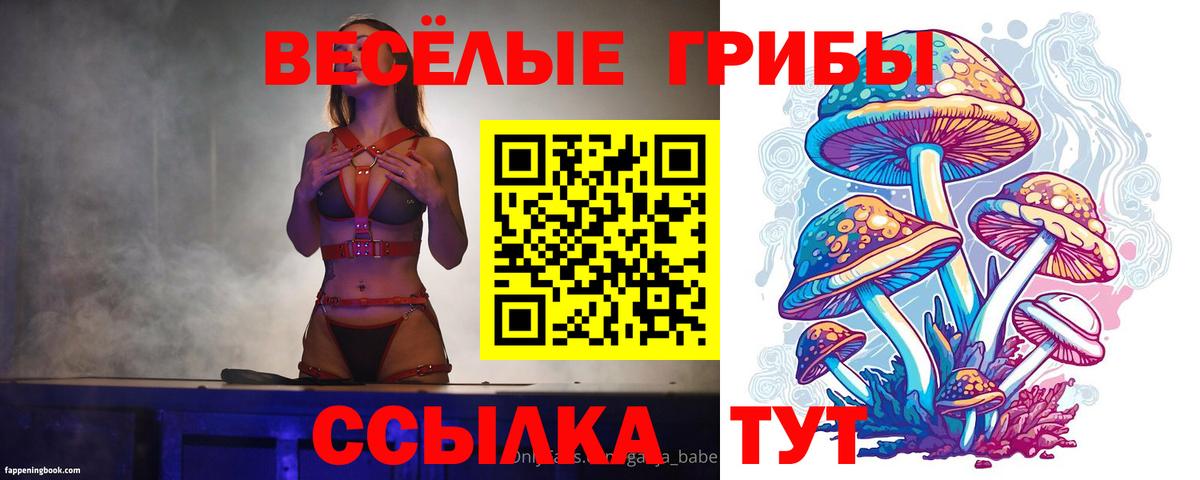 Гуково  сколько стоит  Вход с VPN  Галлюциногенные грибы мицелий  Галлюциногенные грибы прущие грибы 